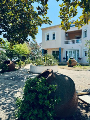 Villa Garden